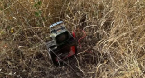 Էլեկտրոնային ձայնարձակիչի միջոցով՝ ապօրինի որսացել են «լոր» տեսակի թռչուն