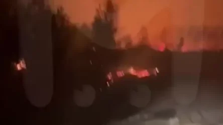 ՏԵՍԱՆՅՈՒԹ. Հրապարակվել են կադրեր ՌԴ-ում խոշոր անտառային հրդեհներից