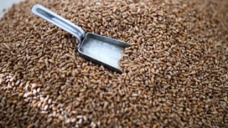 Թուրքիան արձագանքել է հացահատիկի արտահանման խնդրին