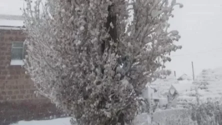 Անցած գիշեր հանրապետության տարածքում գրանցվել է մինչև  -25 աստիճան․Գագիկ Սուրենյան