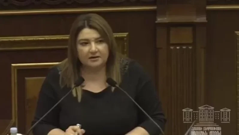 Րոպեներ առաջ ցուցարարին ծեծող պատգամավոր ունենք․ դեռ խոսում եք վատ ավանդույթների՞ց. Տոնոյան