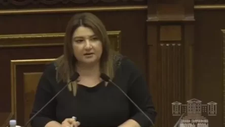 Րոպեներ առաջ ցուցարարին ծեծող պատգամավոր ունենք․ դեռ խոսում եք վատ ավանդույթների՞ց. Տոնոյան