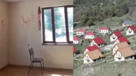 ՏԵՍԱՆՅՈՒԹ. Աղավնոյի բնակիչն ամբողջ տունը պատել է խոզի արյունով. Աբովյան