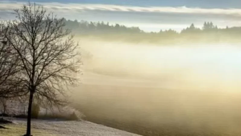 ԵՂԱՆԱԿ. Հունվարի 10-13-ը ջերմաստիճանն աստիճանաբար կբարձանա 4-6 աստիճանով