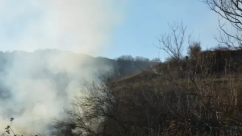 Արցախում մեկ օրում հրդեհի 7 դեպք է արձանագրվել. ԱՀ ԱԻՊԾ