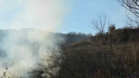 Արցախում մեկ օրում հրդեհի 7 դեպք է արձանագրվել. ԱՀ ԱԻՊԾ