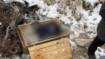 ՏԵՍԱՆՅՈՒԹ. 59-ամյա տղամարդուն ծեծելով սպանել, ապա դին արկղով տեղափոխել էին. ոստիկանության բացահայտումը