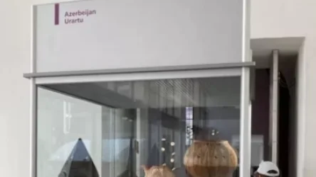 «Ուրարտուն ադրբեջանական են գրել․  Լուվրում գիդն ինձ ասաց՝ դուք էլ մեզ հովանավորեիք, գրեինք՝ «Հայաստան»»․ ահազանգ