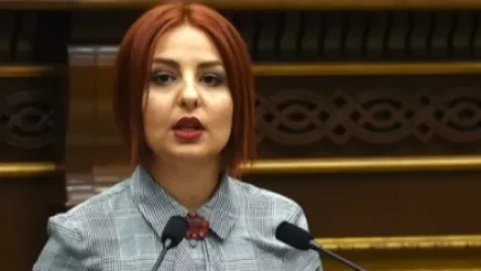 Բաքվի կողմից հայ գերիներին չվերադարձնելու վարքագիծը որակում ենք ահաբեկչական. Անի Սամսոնյանը՝ ԵԱՀԿ ԽՎ-ում