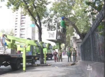 Երևանում հատելու են 1250 ծառ