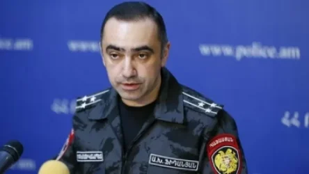 Ֆիդանյանը` բողոքի ակցիա անող ՌԴ քաղաքացիներին բերման ենթարկելու մասին