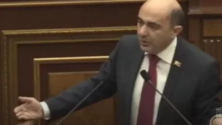 ՏԵՍԱՆՅՈՒԹ. Գնալով ավելի վատն եք դառնում. Մարուքյանը՝ ԱԺ-ում