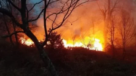 Ադրբեջանցիներն անվադողեր են այրել ու գլորել ձորը. Նորաբակում բռնկված հրդեհը մարել չի հաջողվում