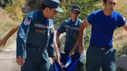 ՏԵՍԱՆՅՈՒԹ․ Մինչև ԱԻՆ աշխտակիցների հասնելը աղջիկը ցած է նետվել Հաղթանակ կամրջից, սակայն ողջ է մնացել