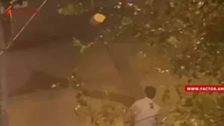 ՏԵՍԱՆՅՈՒԹ. Ինչպես են Պուշկին-Եկմալյան խաչմերուկում հինգ րոպեում կտրում մեծ ծառն ու տանում. Factor. am