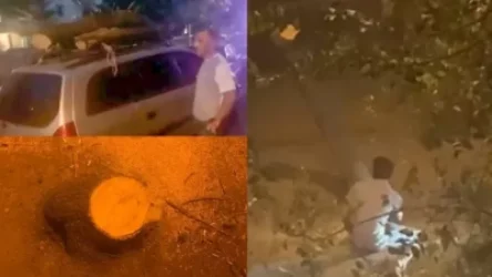 Պուշկին-Եկմալյան խաչմերուկում ապօրինի ծառահատման հարցով Երևանի քաղաքապետարանը դիմել է ոստիկանություն