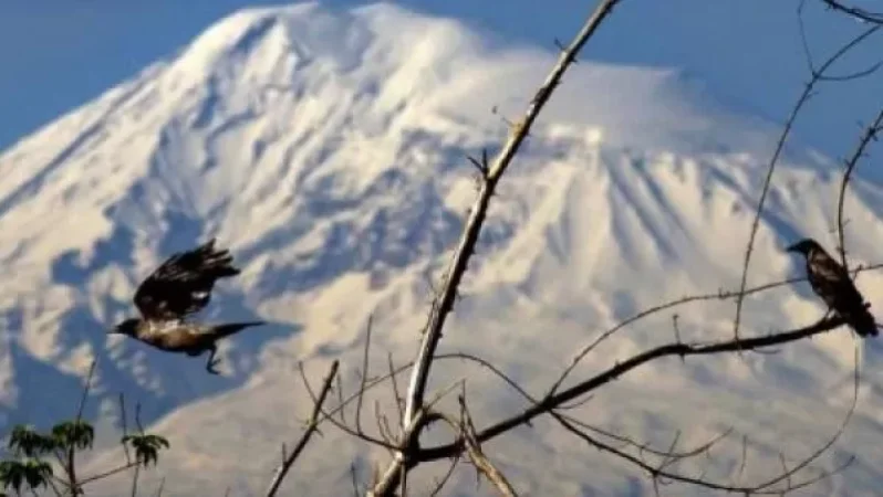 Ինչ եղանակ է սպասվում առաջիկա օրերին