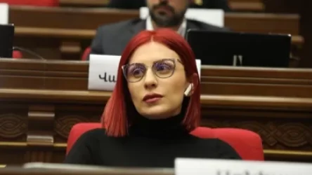 Մեզ չեք տեսնի խորհրդարանի աշնանային նստաշրջանի աշխատանքում․ Ագնեսա Խամոյան