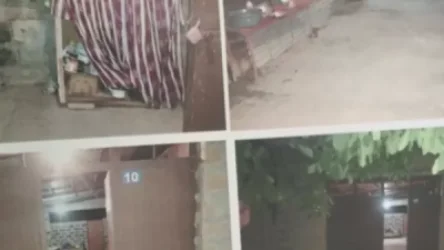 Դանակահարության մեղադրանքով հետախուզվող 46-ամյա տղամարդը հայտնաբերվել է