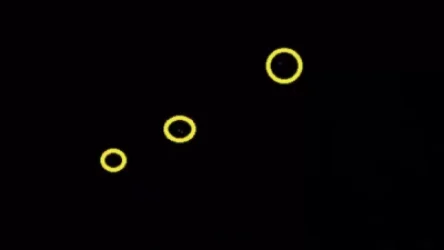 ՏԵՍԱՆՅՈՒԹ. «Կութը՝ թշնամու կրակի տակ». Լիա Սարգսյան