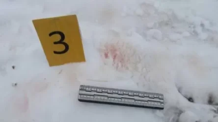 ՏԵՍԱՆՅՈՒԹ. 2 անձ դանակահարվել է. 20-ամյա երիտասարդը կալանավորված է