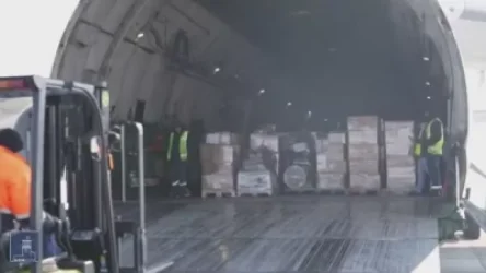 ՏԵՍԱՆՅՈՒԹ.  Գերմանիայի ՊՆ հատուկ չվերթով Երևան է տեղափոխվել մոտ 30 տոննա հումանիտար օգնություն