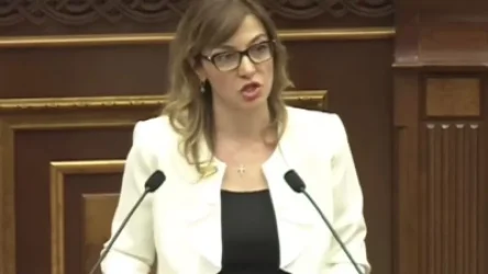 ՏԵՍԱՆՅՈՒԹ.  «Եթե այստեղ կանգնած եմ, ինձ հետաքրքրում է ընտրությունը». ՄՊՀ անդամի թեկնածուն՝ Ռուբինյանին