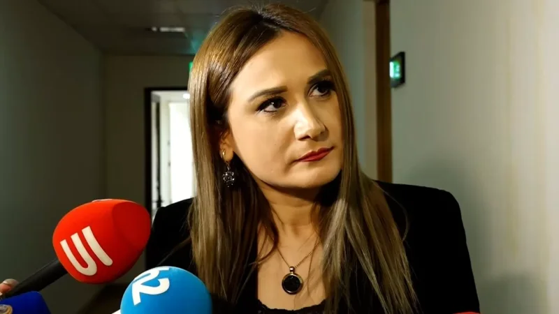 Մեր հույսը չենք կորցնում, որ այդ ՀԱՊԿ-ն Հայաստանի հետ կապված որոշակի գործողություններ կարող է ձեռնարկել. Ջուլհակյան