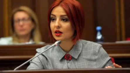 Այս Ազգային Ժողովն ամենախայտառակ ԱԺ-ն է. Անի Սամսոնյան