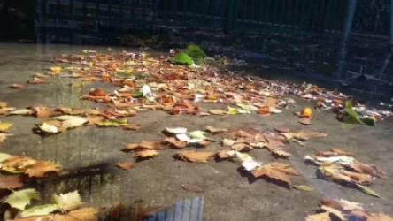 Եղանակը կցրտի. ինչ է սպասվում