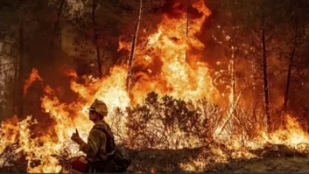 Ջերմուկին հարակից անտառներում հրդեհաշիջման աշխատանքներ են իրականացվում. ԱԻՆ