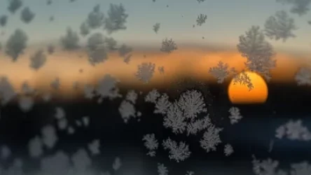 Սպասվում է թաց  ձյուն