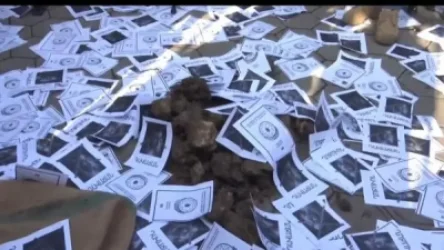 ՏԵՍԱՆՅՈՒԹ. Ակցիայի մասնակիցներն գոմաղբով լցված ուսապարկեր բերեցին ԱԺ-ի մոտ