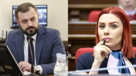 Սահմանի բացումը կարող է վերջնականապես ոչնչացնել գյուղատնտեսությունը. Ագնեսա Խամոյանը` Պապոյանին