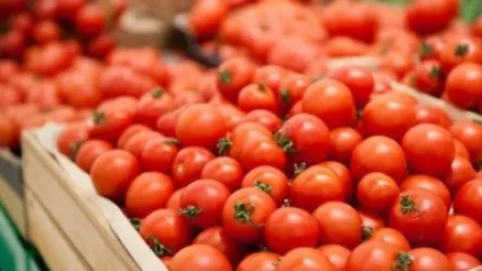 ՌԴ-ն վերացնում է 13 հայկական ձեռնարկությունների նկատմամբ կիրառված լոլիկի ներկման սահմանափակումները