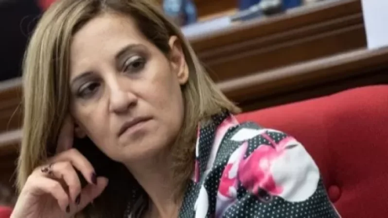 Ով է Անուշ Բեղլոյանը, ինչ կապ ունի Թուրքիայի ու Արարատ Միրզոյանի հետ. «Ժողովուրդ»