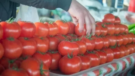 Ռուսաստանն այսօրվանից վերացրել է Հայաստանից լոլիկի և պղպեղի ներկրման սահմանափակումները