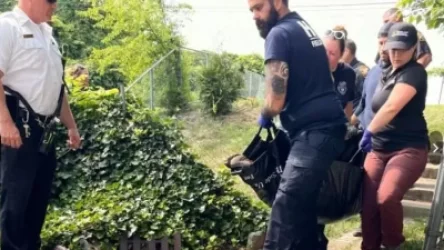 ՏԵՍԱՆՅՈՒԹ. Արջն իսկական իրարանցում է առաջացրել Վաշինգտոնում