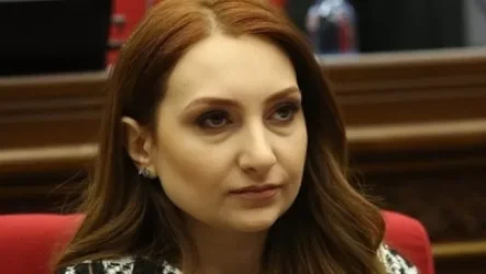 ՏԵՍԱՆՅՈՒԹ. Մակունցը՝ Քոչարյանից «վախենալու» ու արտահերթ ընտրությունների մասին