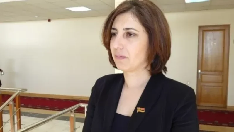 Երբ ֆեյքերի բրիգադիրը «պայքարում» է ֆեյքերի դեմ. Սոֆյա Հովսեփյան