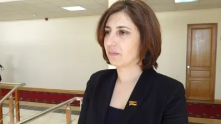 Երբ ֆեյքերի բրիգադիրը «պայքարում» է ֆեյքերի դեմ. Սոֆյա Հովսեփյան