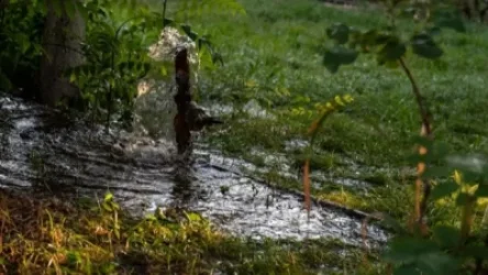 Ոռոգման ջրի խնդիր այս տարի չի լինի. գյուղատնտեսական ծրագրերին տրամադրվող վարկերի տոկոսներն էլ կզրոյացվեն