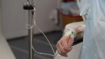 Վանաձորում տարեդարձի մասնակիցների թունավորումը հավանաբար եղել է տորթից. NEWS.am