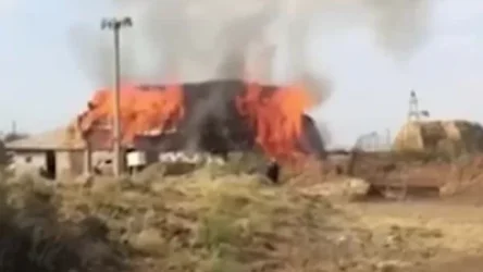 ՏԵՍԱՆՅՈՒԹ․ Երասխում ոչնչացվել է կենդանիների համար հավաքած ձմռան ողջ պաշարը․ ՄԻՊ-ը մանրամասնում է