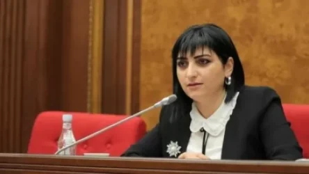 Պաշտոնյաներ կան, որ բարձրագույն կրթություն չունեն, բայց միլիոններ են վաստակում. Թագուհի Թովմասյան
