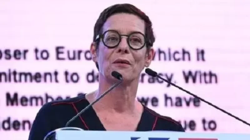 Անն Լույոն՝  ՀՀ-ի և Ադրբեջանի միջև խաղաղության հաստատման մասին