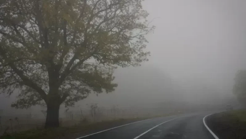 Մառախուղ ավտոճանապարհներից մեկում