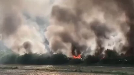 ՏԵՍԱՆՅՈՒԹ. Հնդկաստանում մզկիթներ են այրում. կան զոհեր