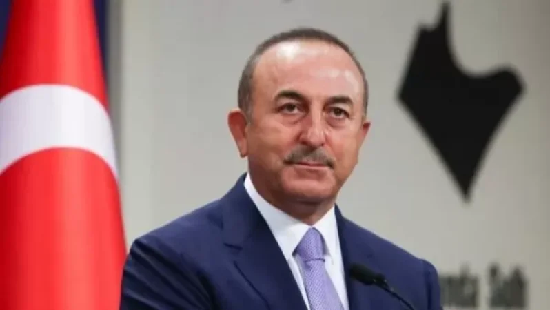 Չավուշօղլուն Ֆրանսիայի թուրքական համայնքին կոչ է արել գործել հայկական սփյուռքի դեմ