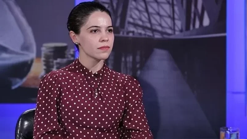 Ադրբեջանը տեղեկատվական գրոհը սկսում է հենց երեկոյան ժամերին․ Տաթևիկ Հայրապետյան